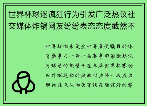 世界杯球迷疯狂行为引发广泛热议社交媒体炸锅网友纷纷表态态度截然不同 世界杯球迷疯狂行为引发广泛热议社交媒体炸锅网友纷纷表态态度截然不同