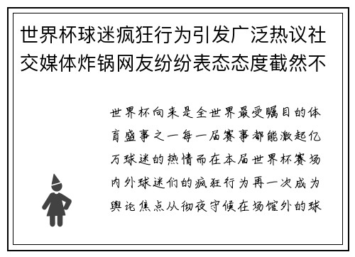 世界杯球迷疯狂行为引发广泛热议社交媒体炸锅网友纷纷表态态度截然不同