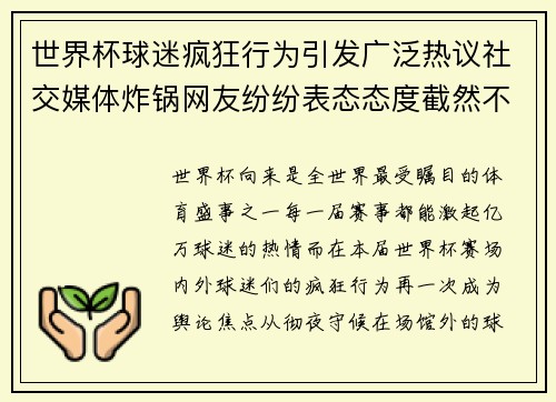 世界杯球迷疯狂行为引发广泛热议社交媒体炸锅网友纷纷表态态度截然不同
